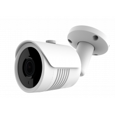 BL-2MSDF3.6S40PoE IP camera