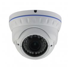 IP camera DOL-1080VFSH30