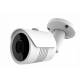 IP Cameras