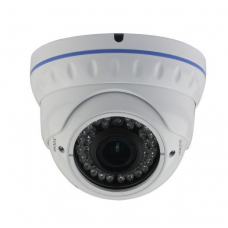 IP камера DOL-1080VFSH30PoE