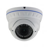 IP камера DOL-1080VFSH30PoE